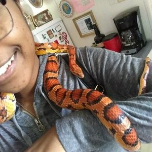 Meet your Posher, Kat